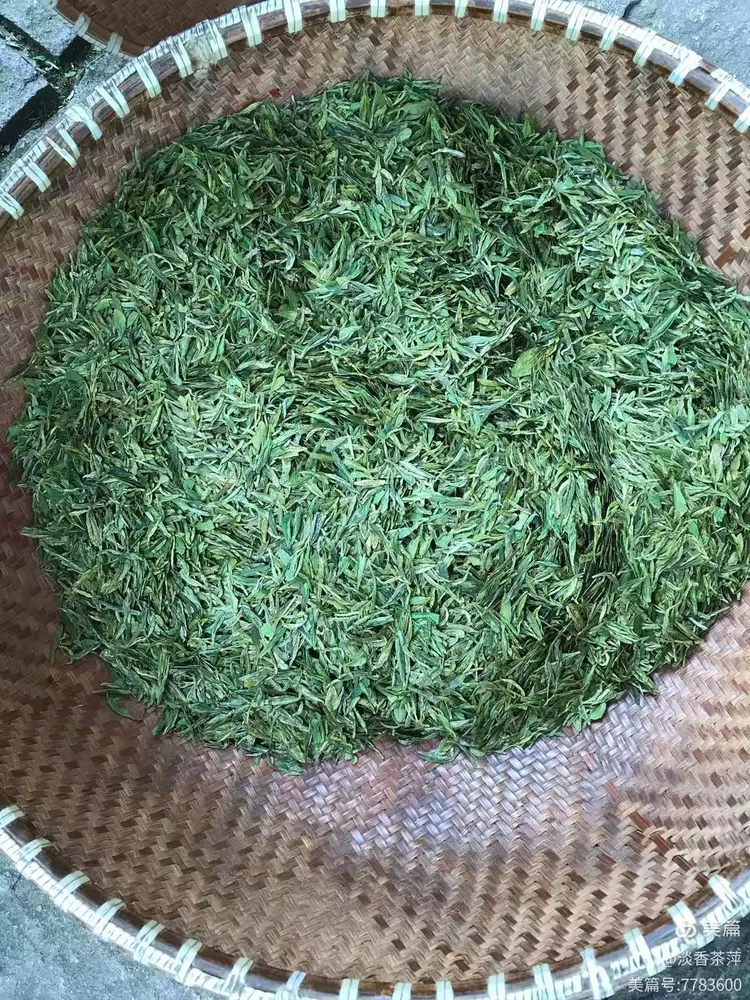 淡香茶萍的美篇
